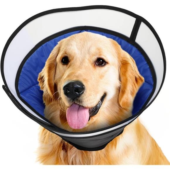 Dog Cone Collar for Dog After Surgery, Soft Recovery Cones, L Size - Picture 1 of 7